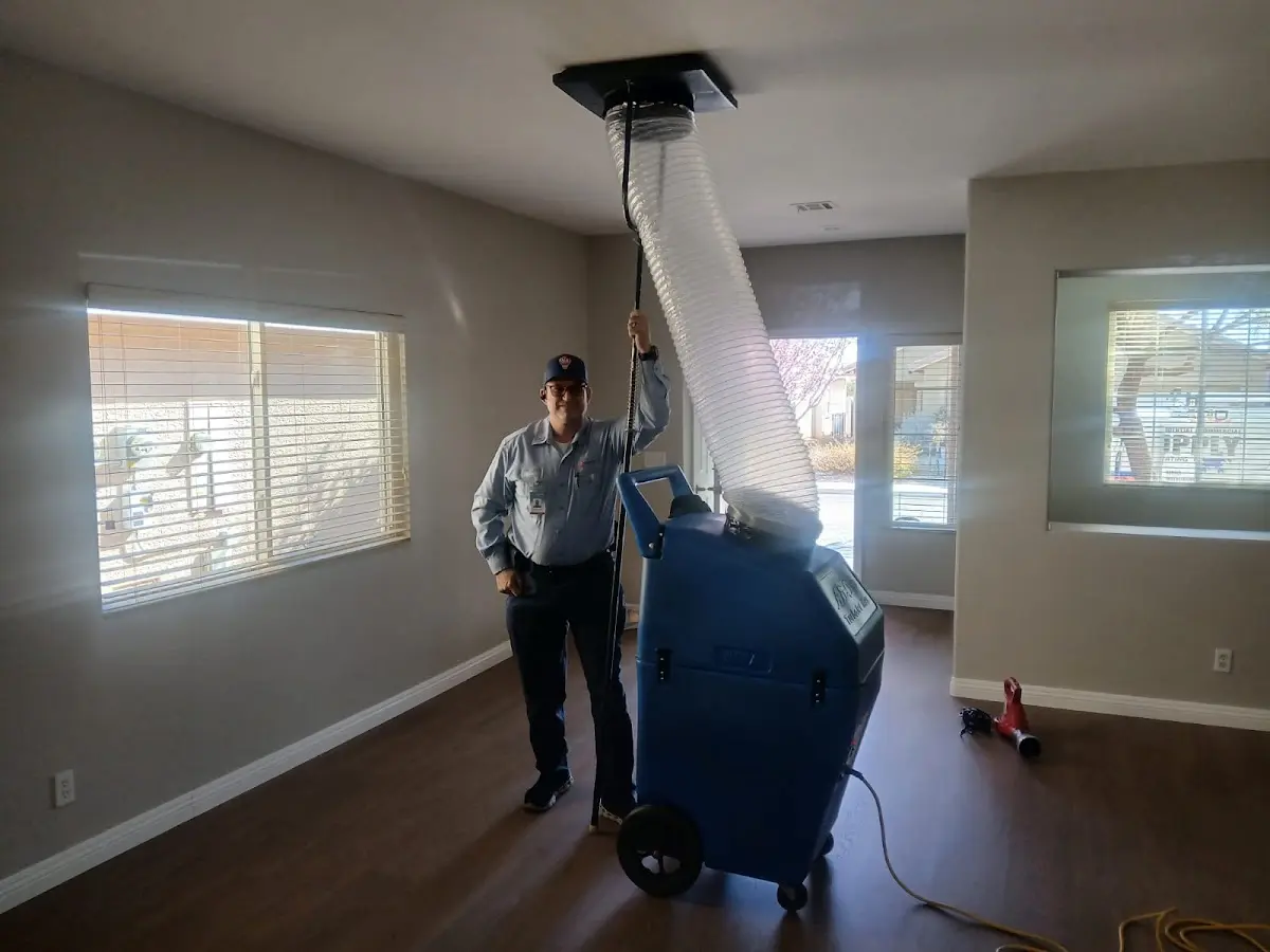 Professional Dryer Vent Cleaning work inside a Davie home